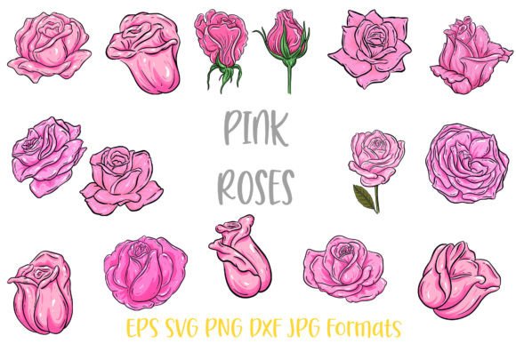 Download Pink Rose Flower Line Art Illustrations - Pink Collection